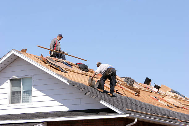 Best Roof Inspection  in USA